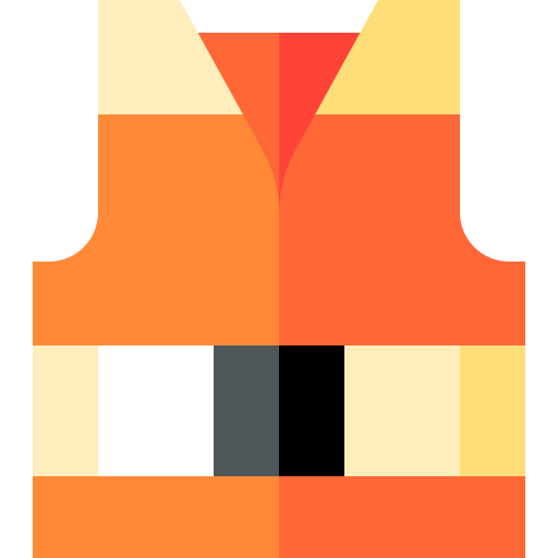 Life vest